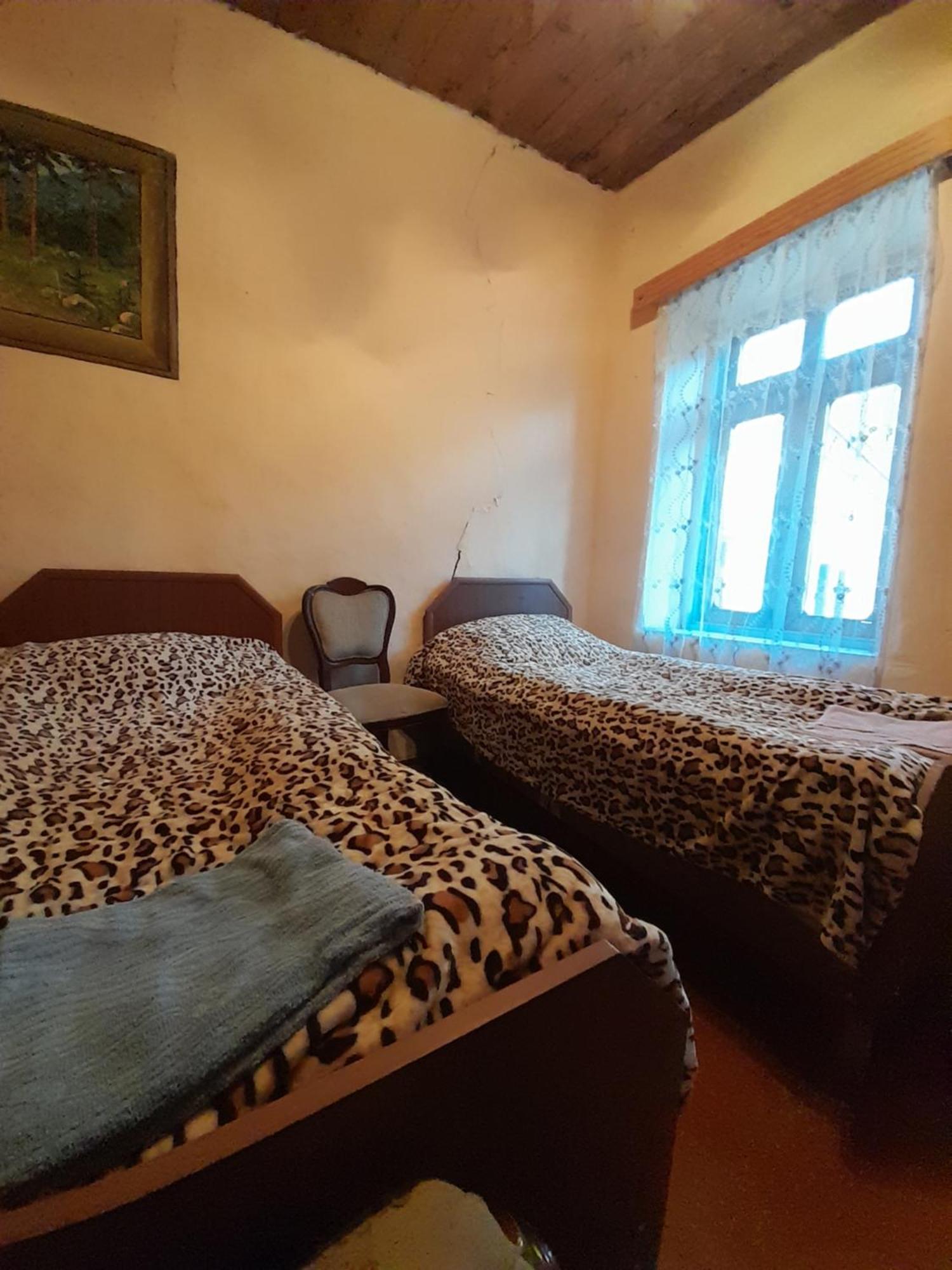 Adishi Guest House Zhora Kaldani Exterior foto